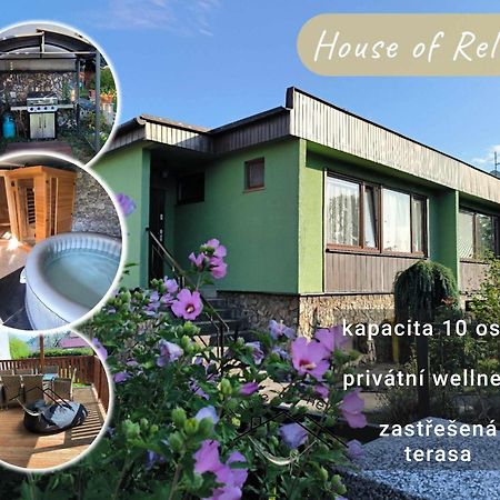 Recany nad LabemHouse Of Relax别墅 外观 照片
